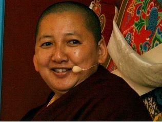 Odoo text and image block